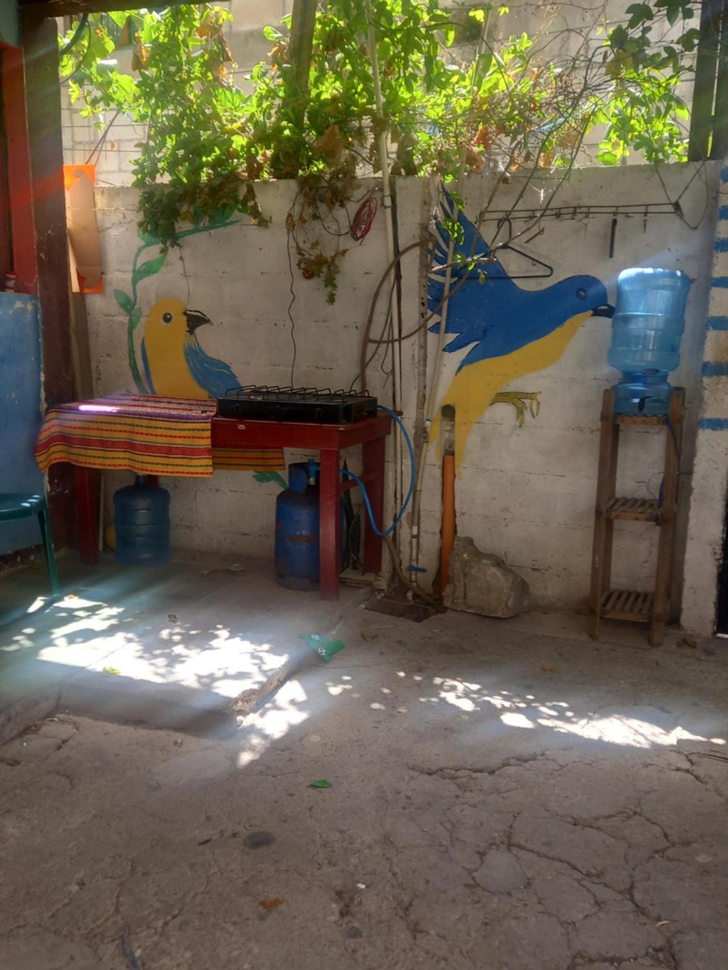 فندق House Zope باناخاتشيل المظهر الخارجي الصورة